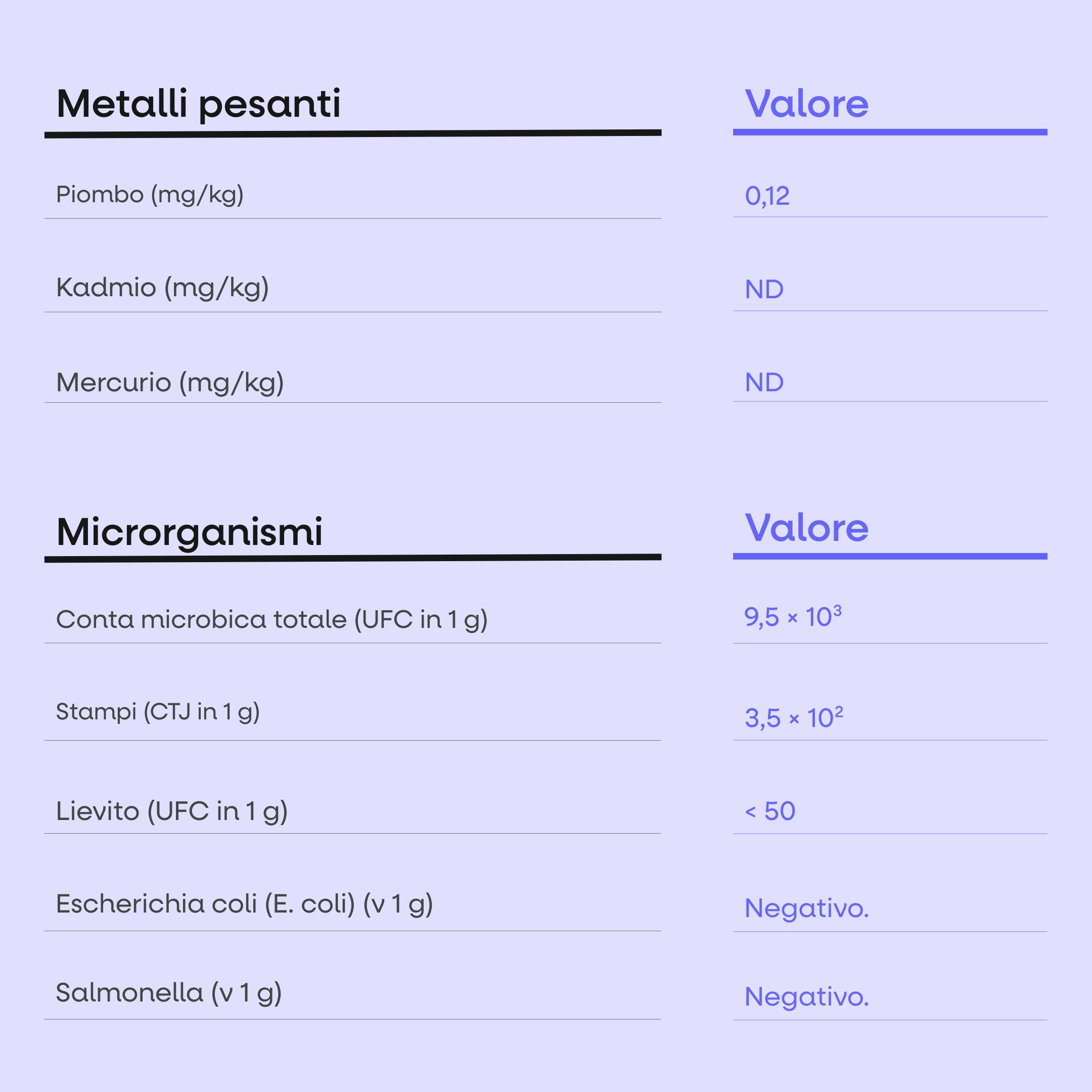 (Italština) - 2025-09-25T163103.752